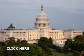 U.S. Capitol  Building, Washington DC