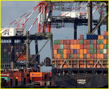 Container shippig terminal