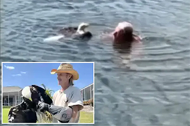 Eagle Saved by Florida man