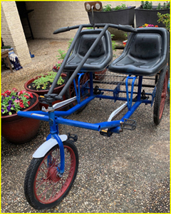 Used "Team Dual Trike" now available