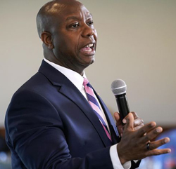 Senator Tim Scott (SC)